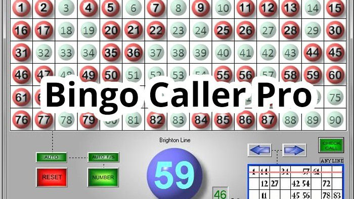 Bingo Caller online, free